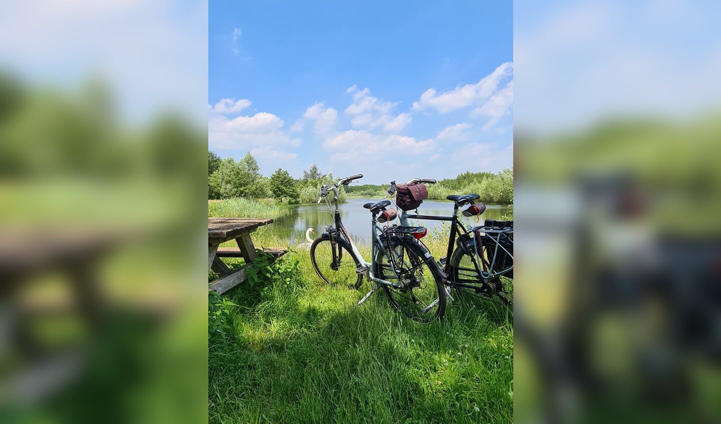 Fietsers bij 't Hoge Veld.