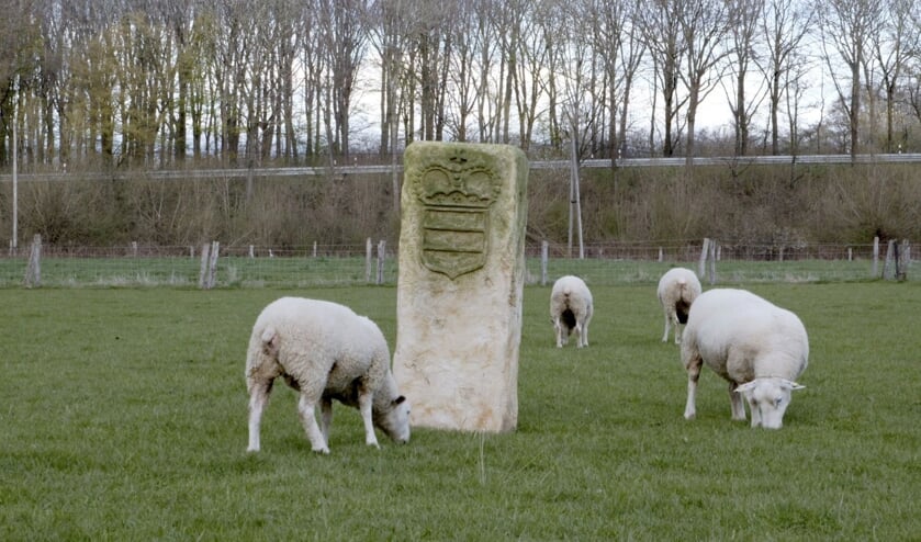 Grenspaal in een schapenweide. Foto: Joop van Reeken 