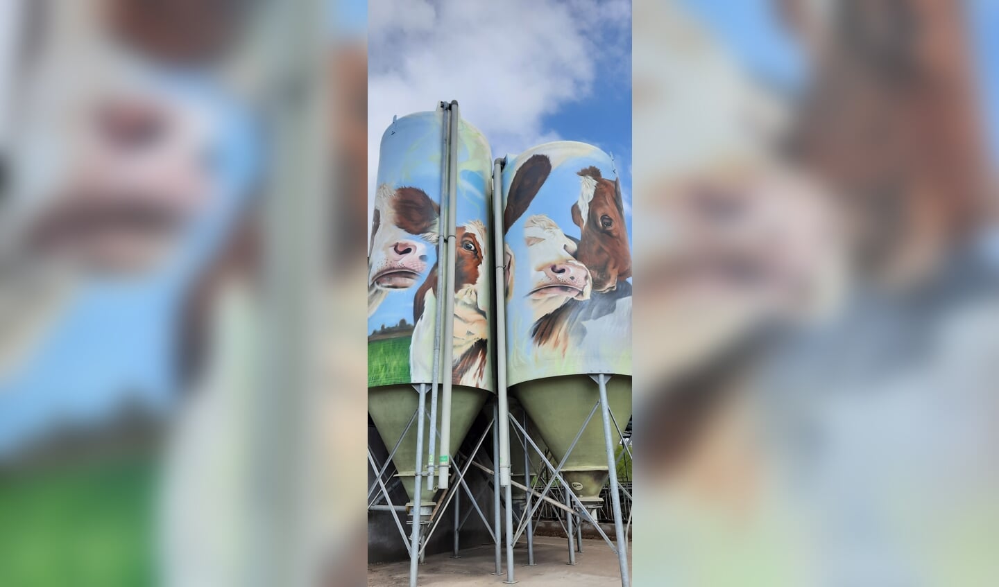 Op 3 silo's op het bedrijf zijn afbeeldingen geschilderd. Foto: Kyra Broshuis