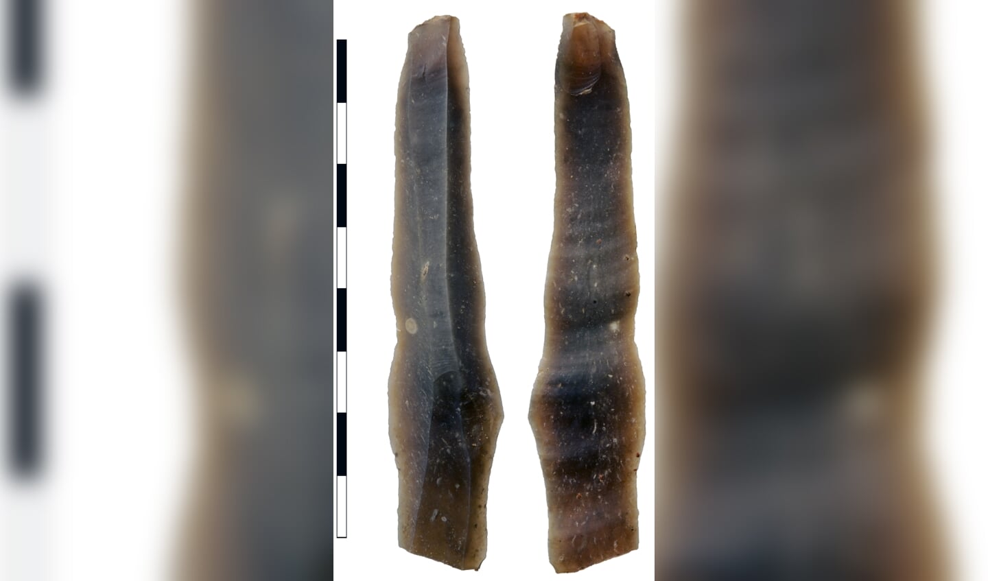 De gevonden mesklingen uit de oudste menselijke nederzetting tot nu toe in Zutphen. Foto: Erfgoedcentrum Zutphen
