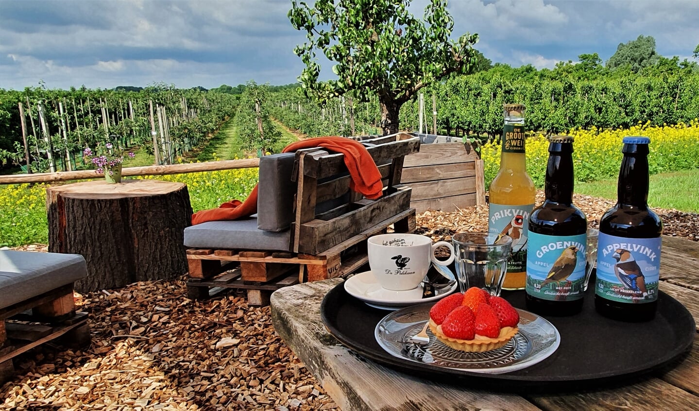 Heerlijk genieten van een frisse cider, een kop koffie met een eigengemaakte taart kan bij De Groote Wei. Foto: Alice Rouwhorst