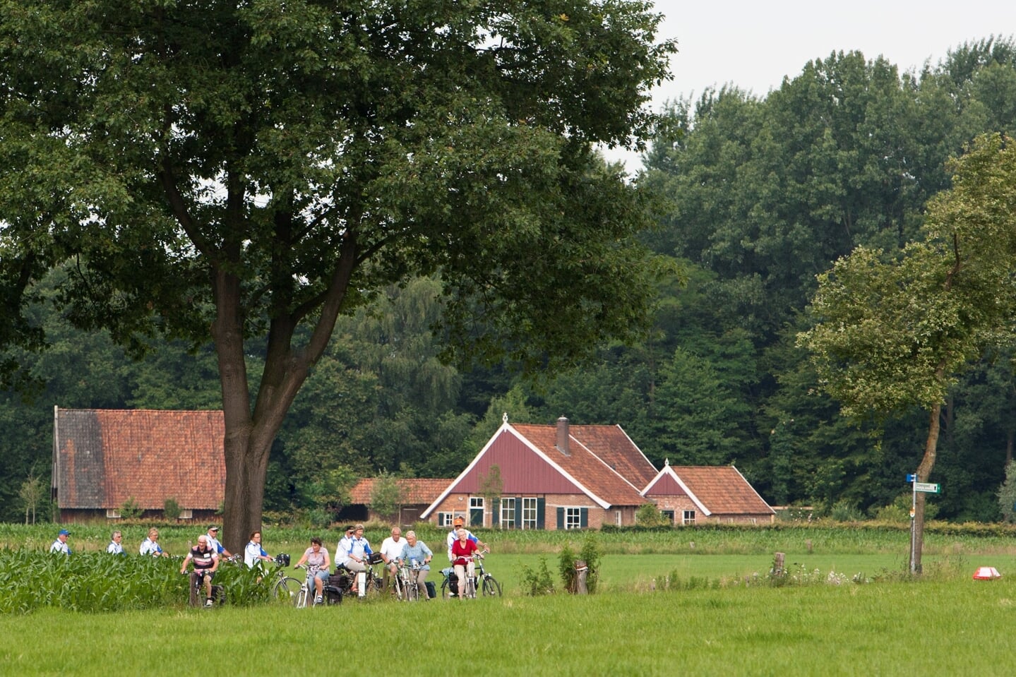 Van 21 juni tot en met 24 juni kunnen veel fietsliefhebbers weer genieten tijdens de Internationale Fiets4daagse Winterswijk. Foto : Ron Rensink