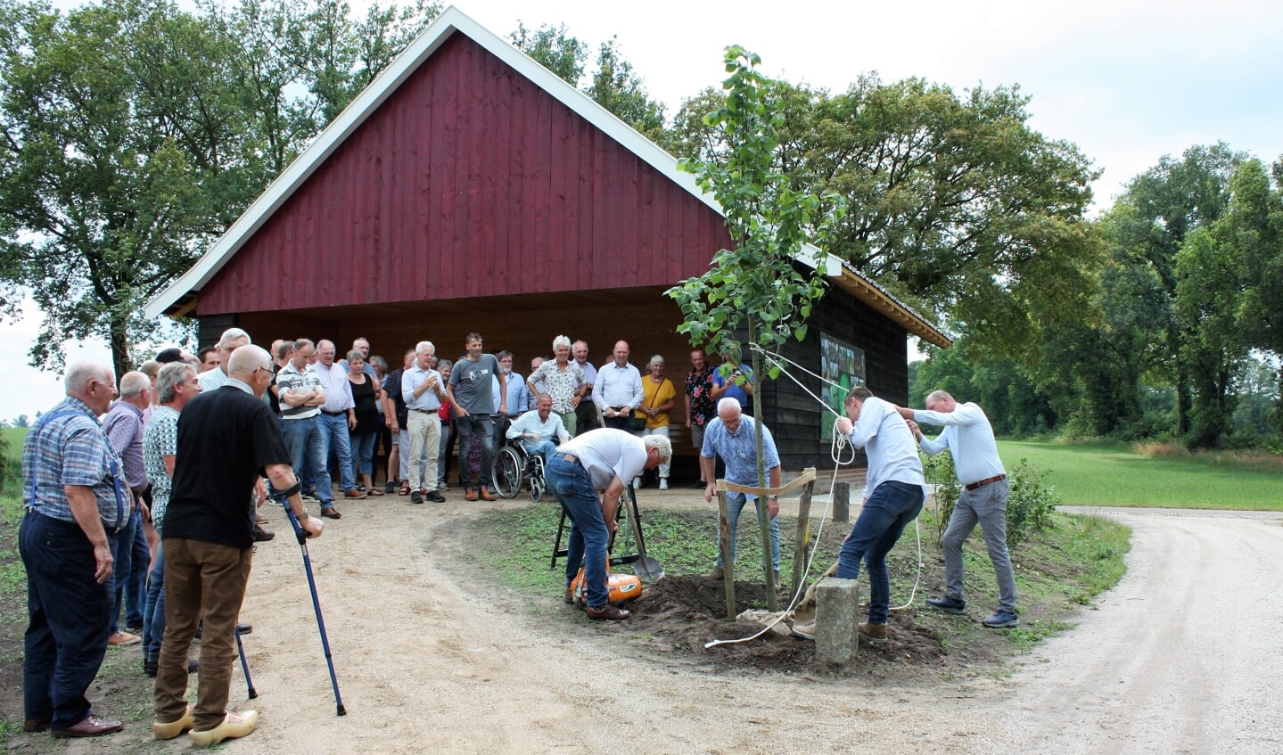 De Grote Bladeren Linde wordt geplant op Landgoed Groot Deunk. Foto: Carla Nijhof