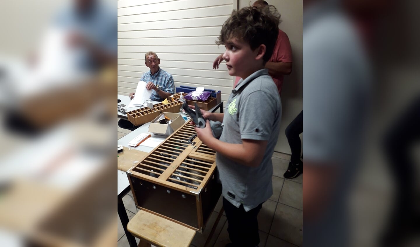Vinci Wenneker (11) bereidt zich voor op zijn eerste jonge duivenvlucht. Eigen foto