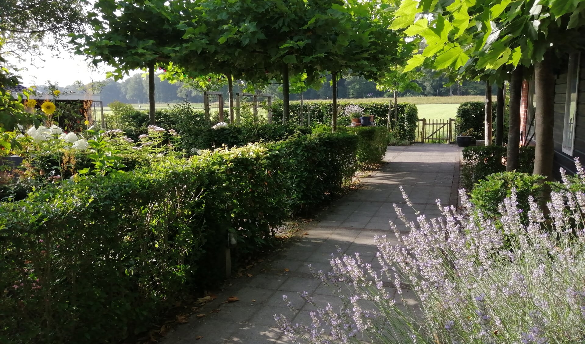 De tuin rond het Zonnehuis is open voor publiek. Foto: PR 