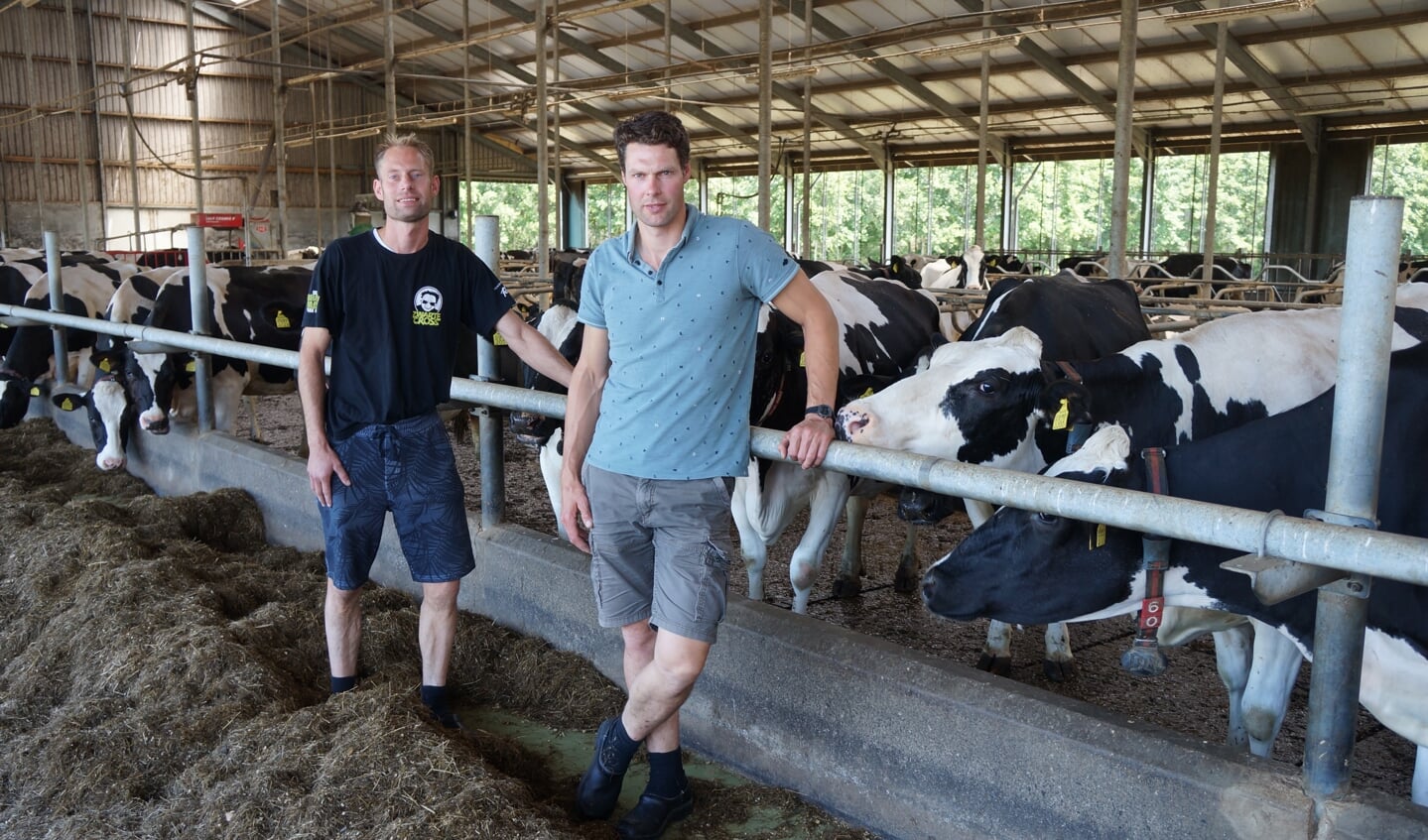 Melkveehouders Maik te Brummelstroete (links) en Stefan te Selle. Foto: Richard Stegers