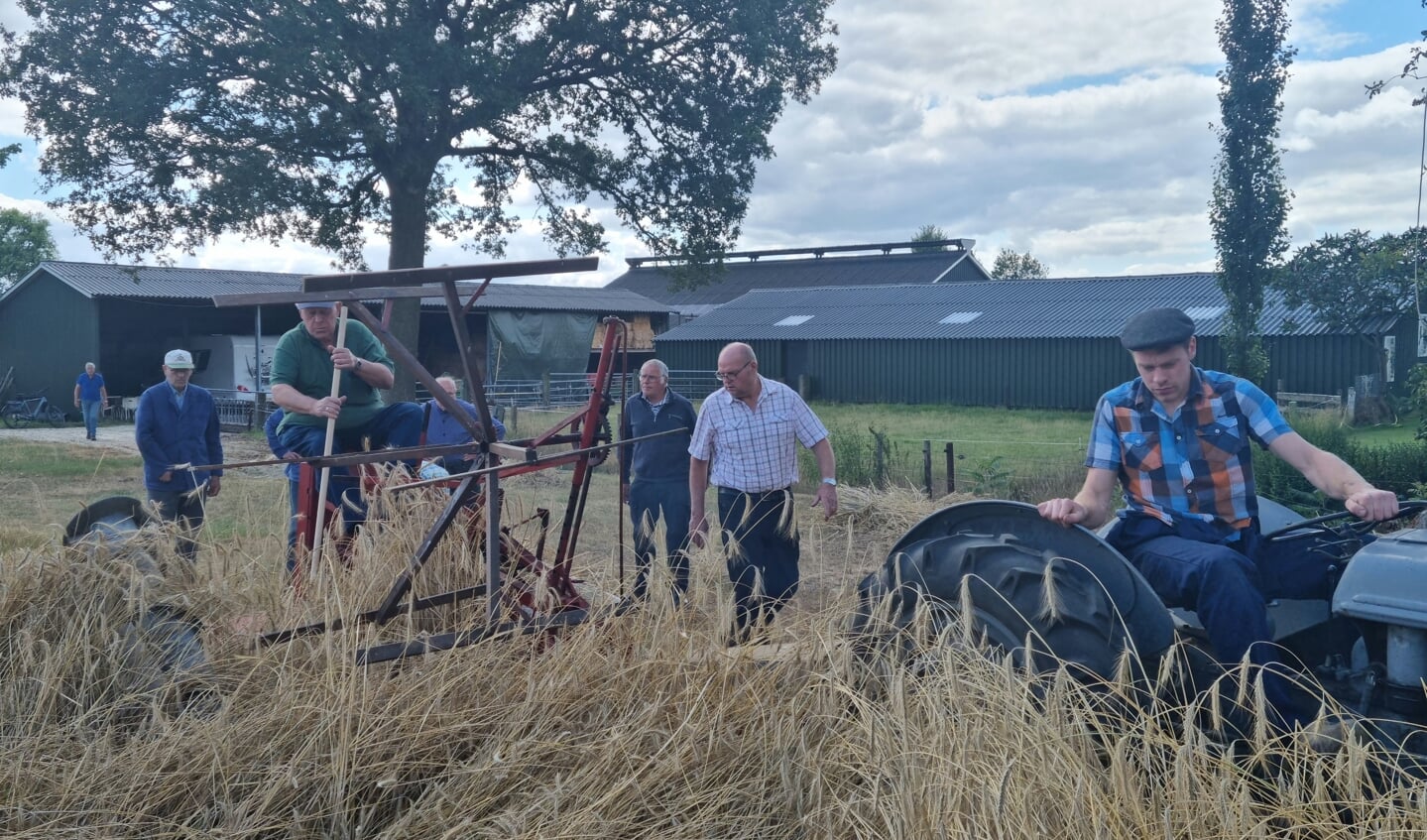 Rogge maaien voor de Oogstdag Eibergen. Foto: Rob Weeber