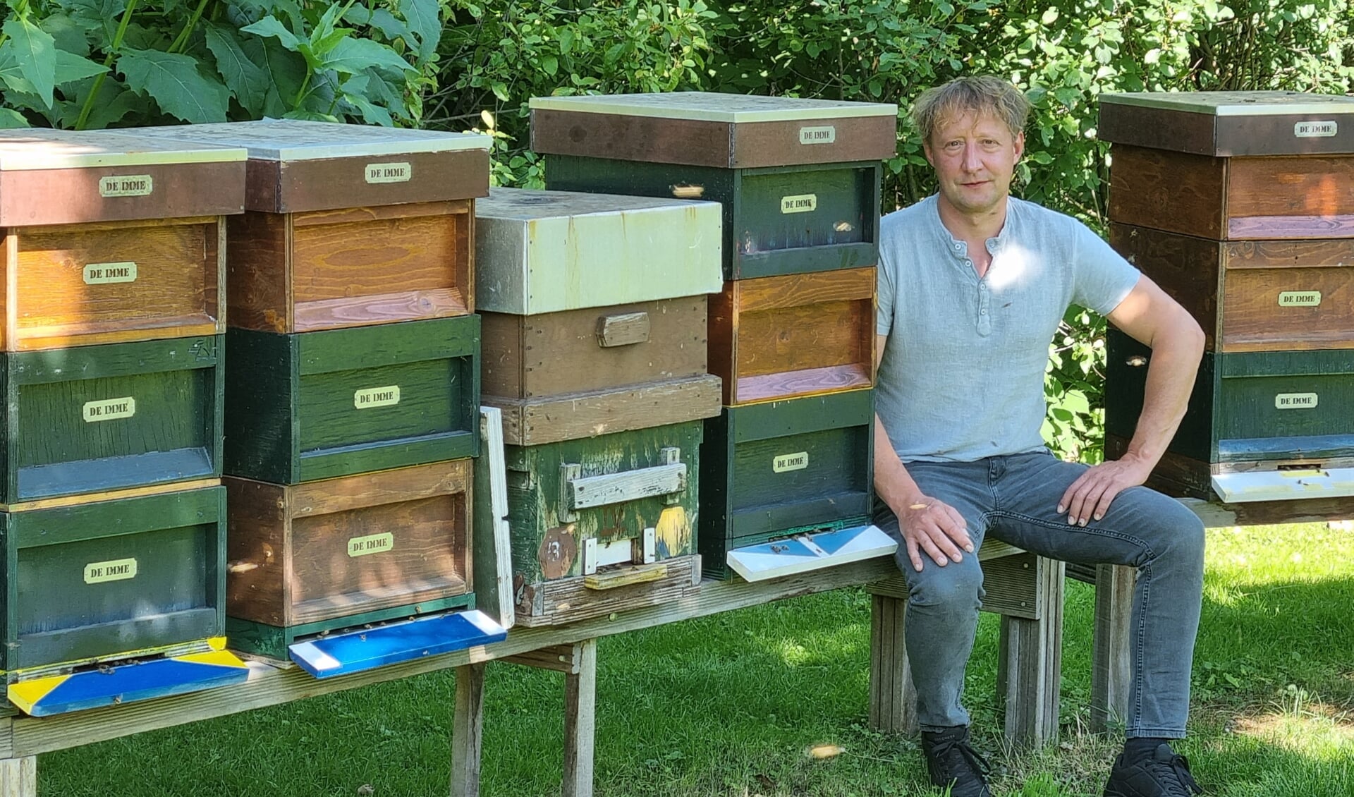 Imker Dajo Wielens tussen zijn bijenkasten. Foto: Rob Weeber