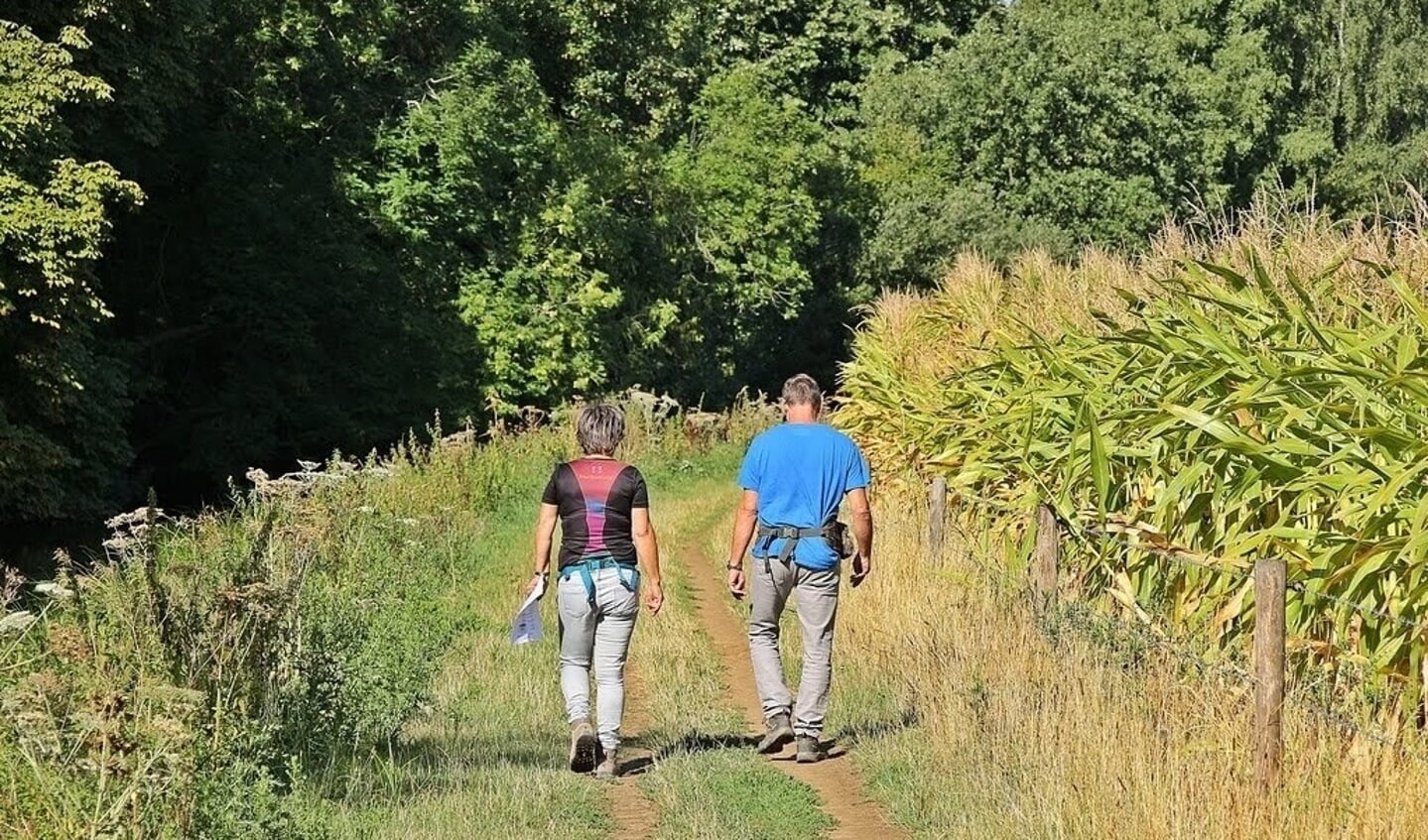 Wandelkring Warnsveld houdt op zaterdag 13 augustus weer haar jaarlijkse wandeltocht. Foto: PR