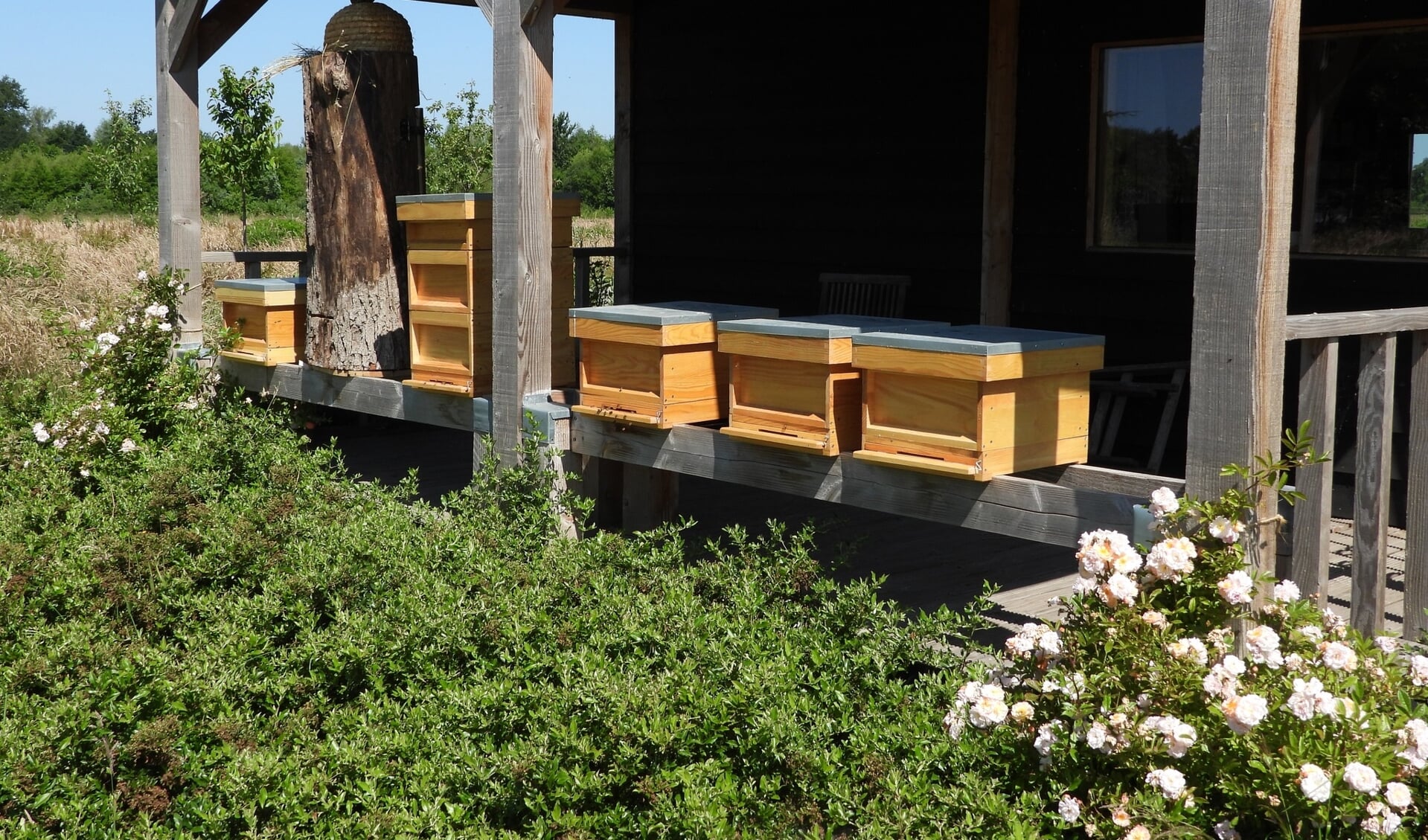 Ook de bijenstal aan het Blikpad in Groenlo is tijdens de Open Imkerijdagen te bezoeken. Foto: Stephan Damman