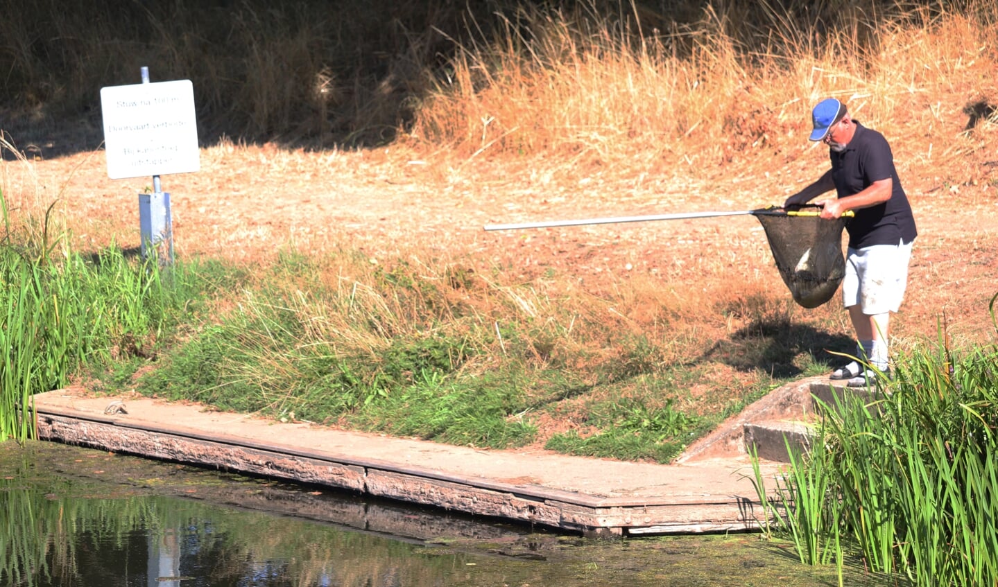 Voorzichtig brengt vismeester Rob Driessen de snoek naar veilig water. Foto: Arjen Dieperink