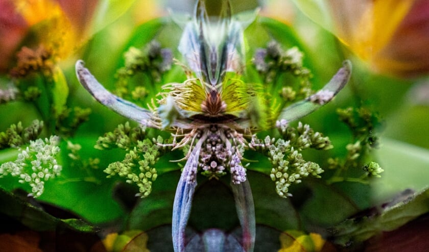 Werk van Anneke Lubbers. Eigen foto