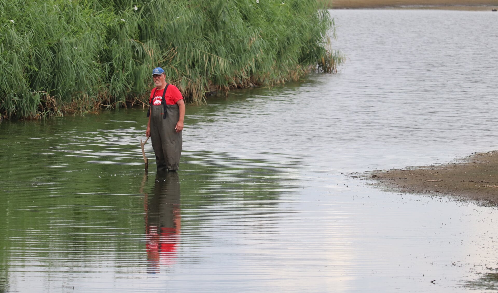 In de Bolksbeek staat Rob Driessen in 30 centimeter water. Foto: Arjen Dieperink
