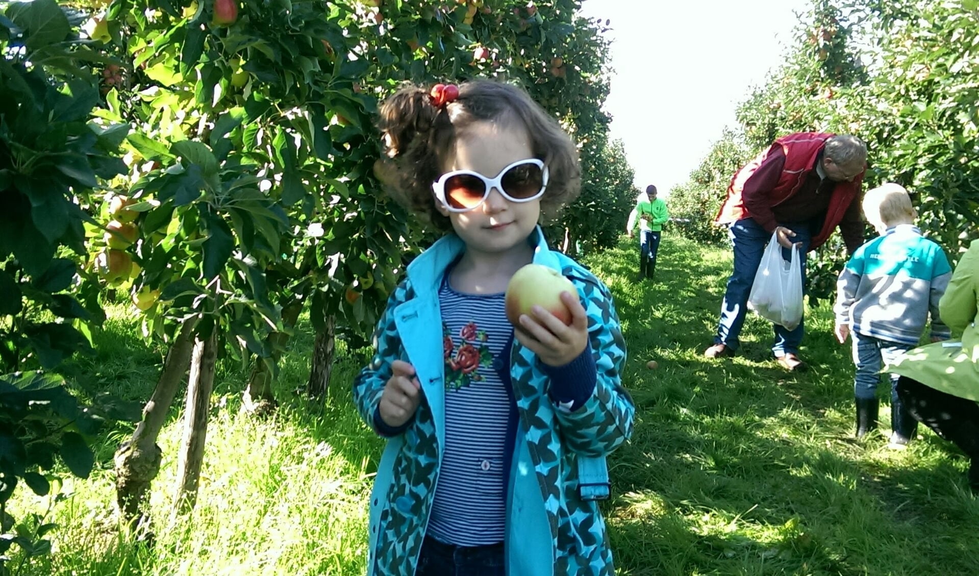 Fruit plukken is populair uitje met en voor kinderen. Foto: Monique Horstink