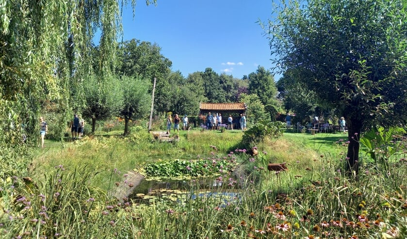 Er zijn drie vijvers aanwezig in de siertuin D'n Uuthook waarvan een natuurvijver.