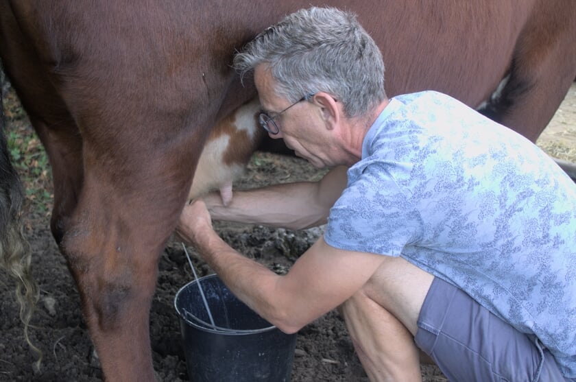 Geert Kobus melkt buiten met de hand. Foto: PR