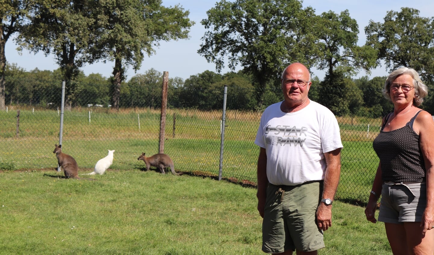Wim en Gerrie Langeler bij hun wallaby's. Foto: Arjen Dieperink