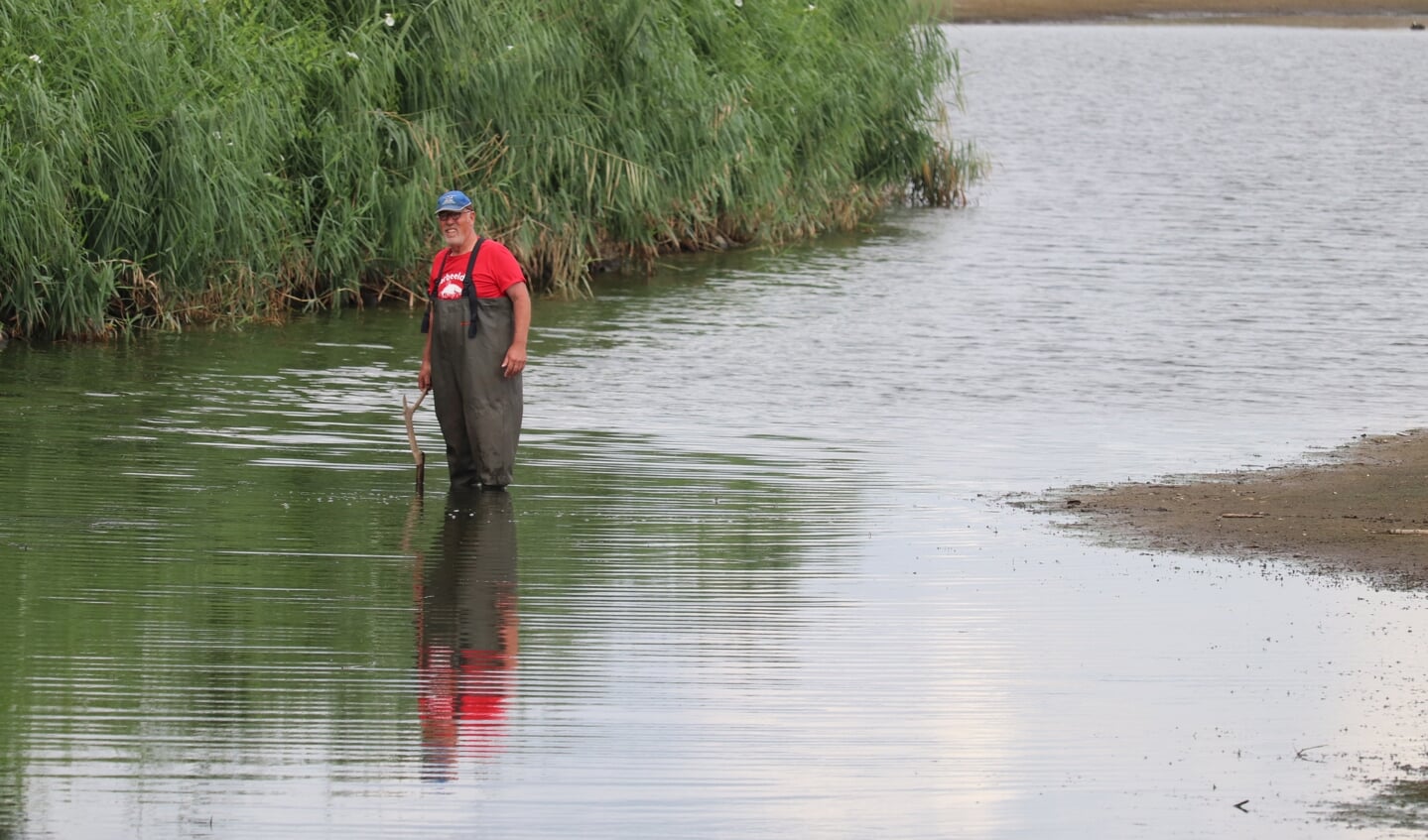 In de Bolksbeek staat Rob Driessen in 30 centimeter water. Foto: Arjen Dieperink