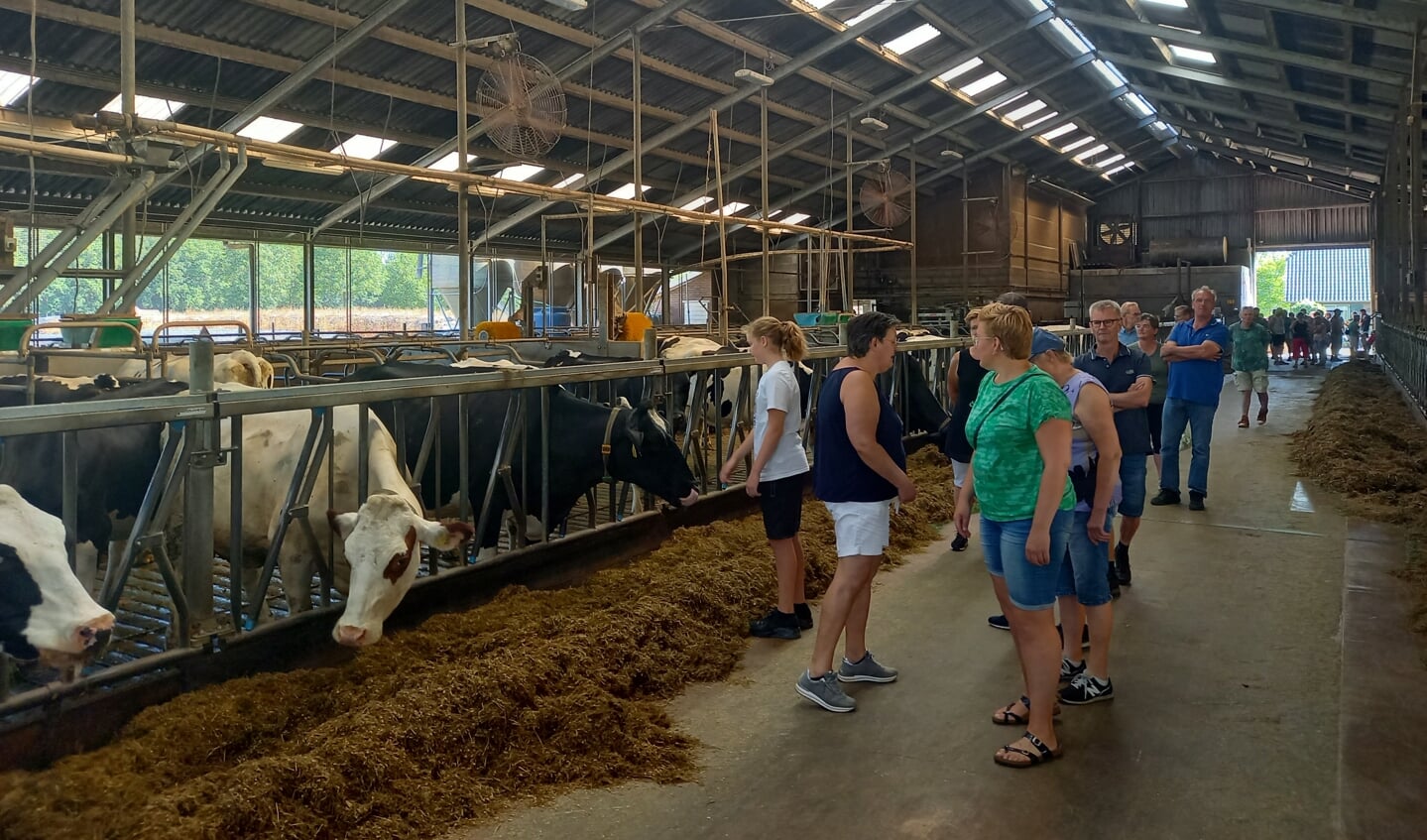 Het eerste bedrijf bezochten de deelnemers het melkveebedrijf van de familie Lievestro aan de Broekweg in ‘t Ruurlose Broek. Foto's Jan Hendriksen