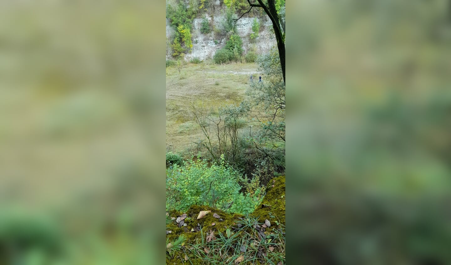 Belangstellenden kunnen de groeve afdalen tijdens de natuurwerkdag. Foto: PR KNNV