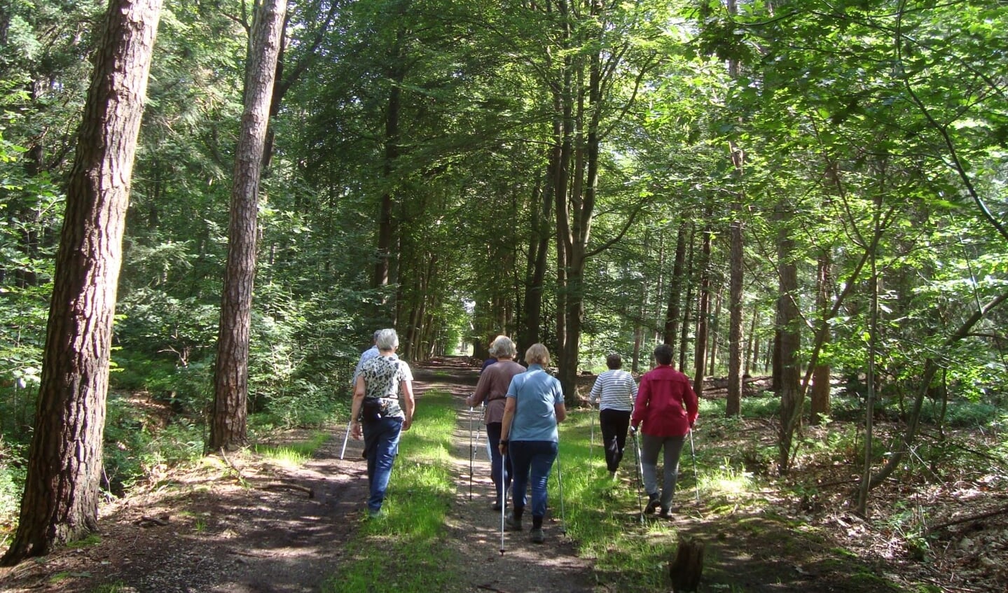 Maak kennis met Nordic Walking. Foto: PR
