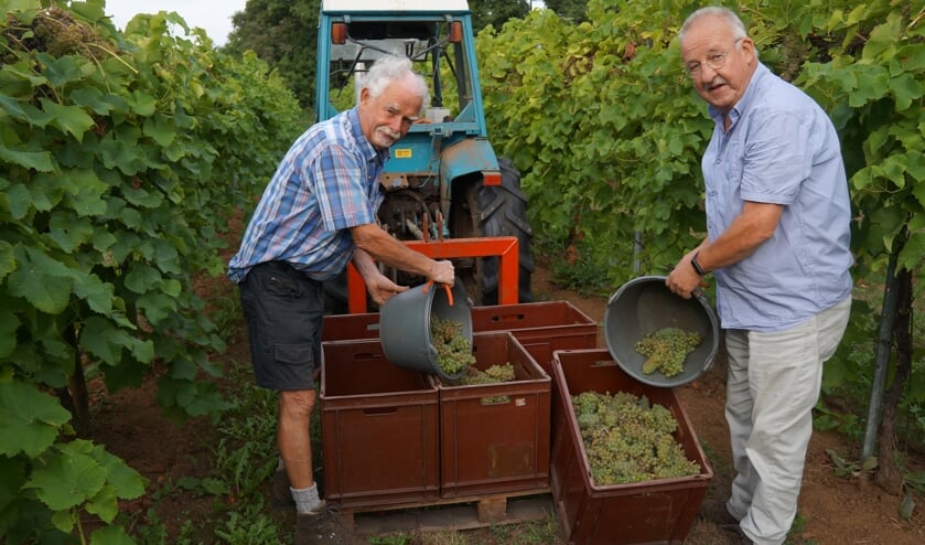Henk Takken (links) verwacht een prima oogst. Foto: Richard Stegers