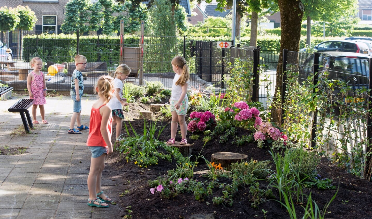 Voor de zomervakantie hebben een aantal kinderen voorbeeldtuintjes aangelegd om de actie ‘Tegels eruit, Plantjes erin’. Foto: Yke Ruessink