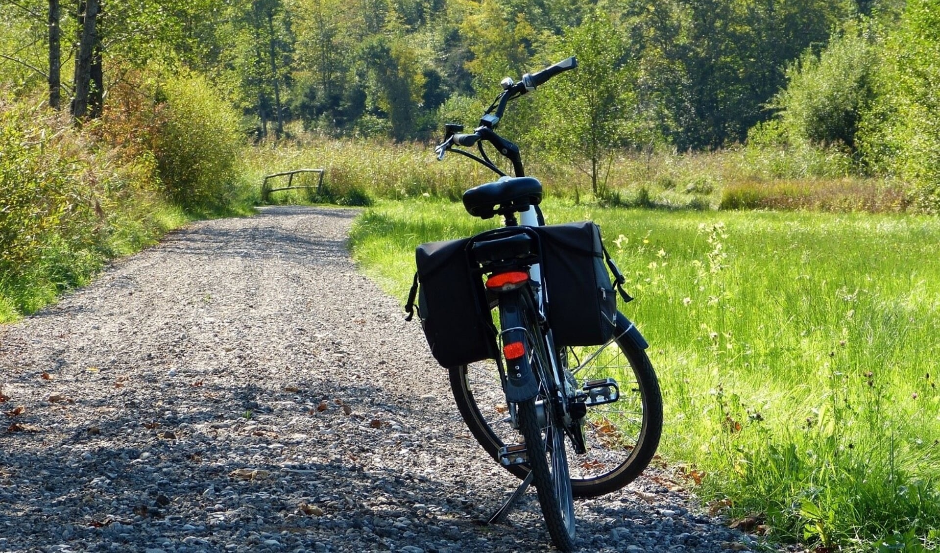 https://pixabay.com/photos/wheel-e-bike-path-forest-fall-3714047/