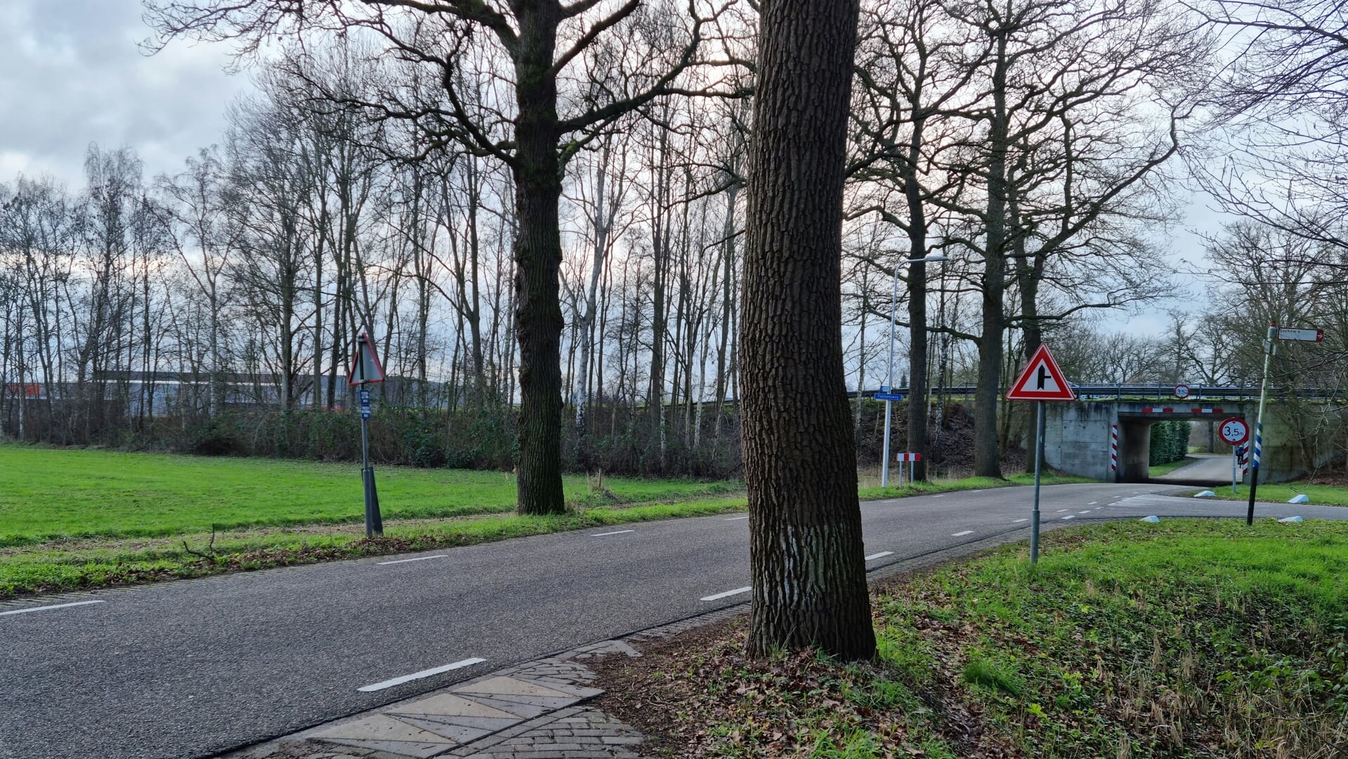 Bestaande situatie ongelijkvloerse kruising Oude Diepenheimseweg. De bomenrij bovenaan link zou moeten wijken voor een afrit ten behoeve van het landbouwverkeer. Foto: Rob Weeber