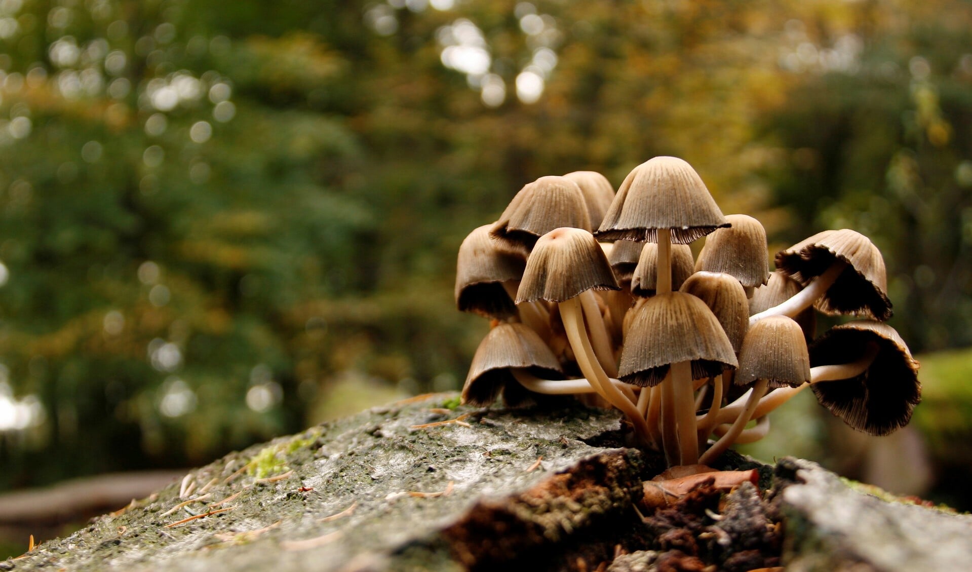 Foto: Luci Seegers-Hageman
