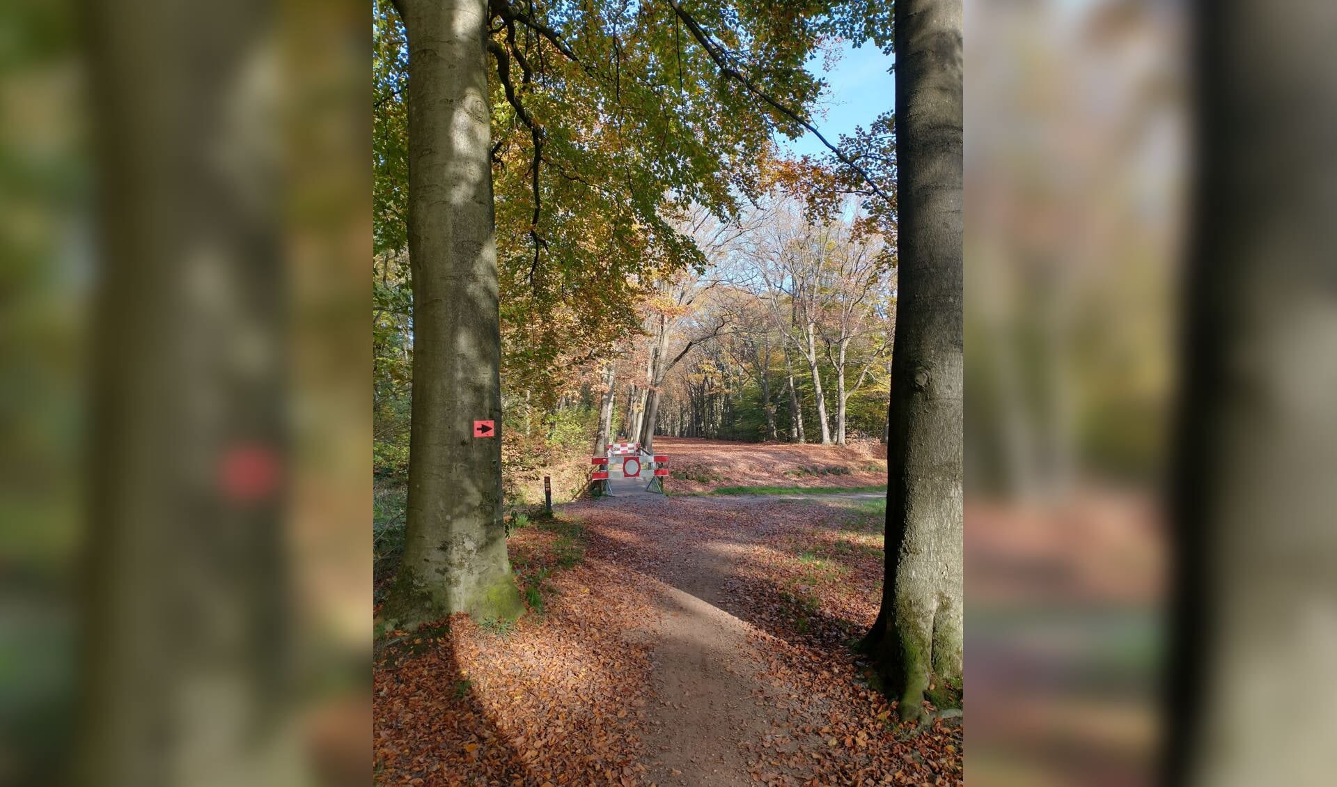 Keiaosers veldtoertocht, stuk van route. Foto: Bert Scheffer
