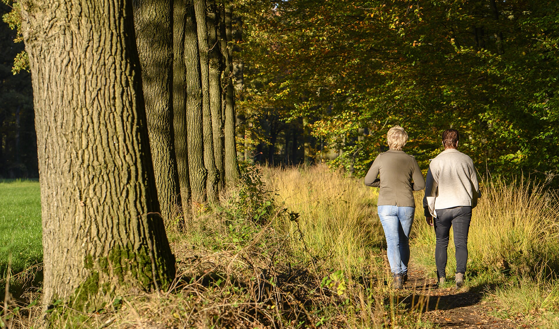 Op zondag 29 oktober kunnen wandelaars genieten van de herfstkleuren in het Winterswijkse coulisselandschap. Foto: 100%Winterswijk/Annet Piek