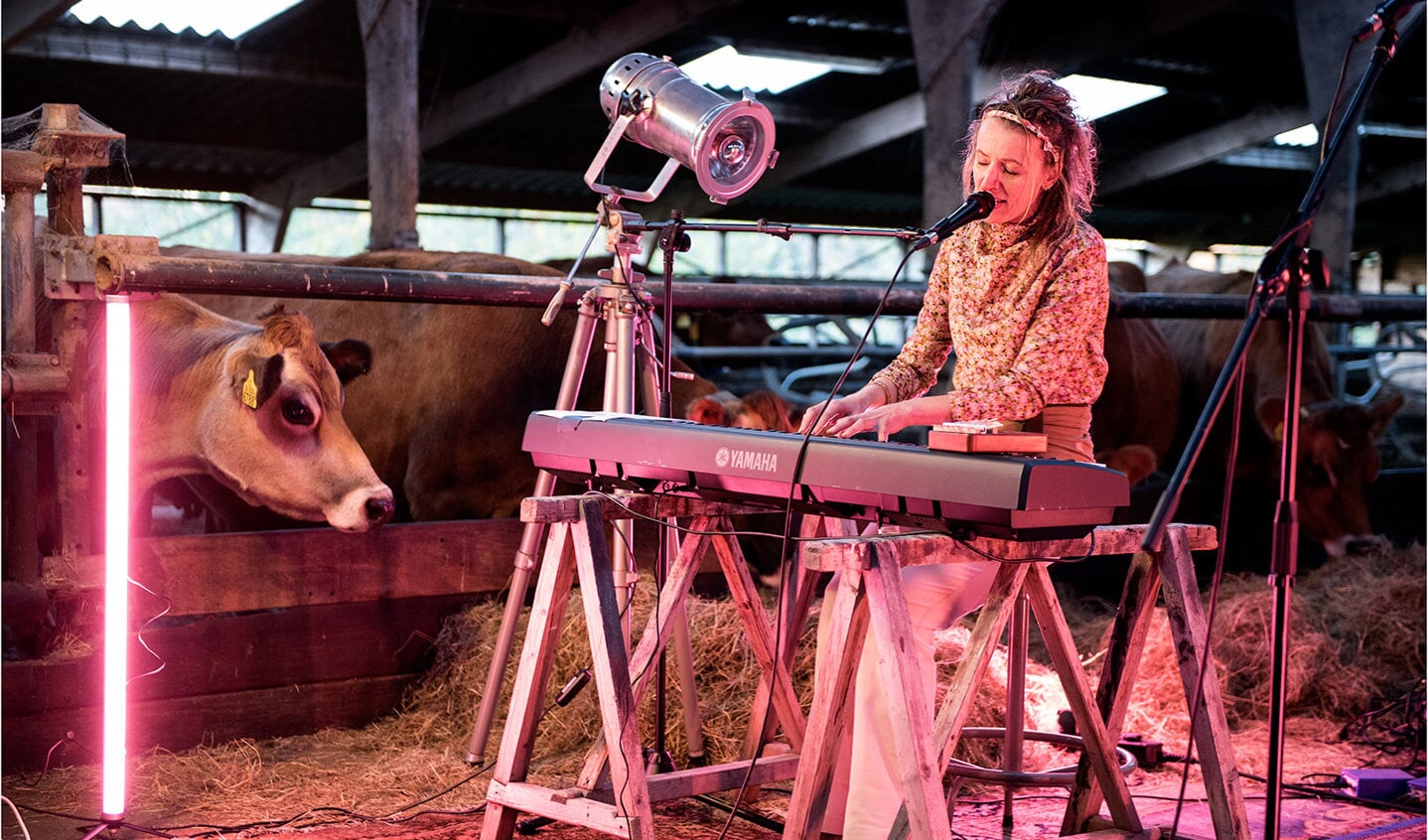 Marieke Ruesink speelt tussen de koeien. Foto: Rene Moorman