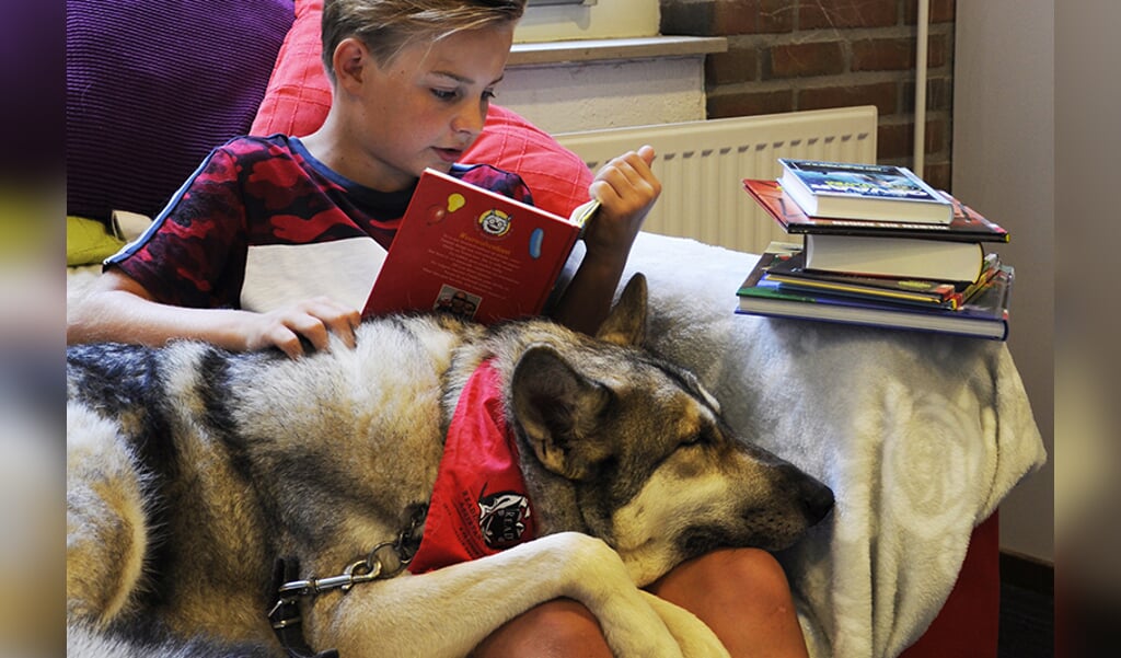 Een luisterende hond geeft rust bij het voorlezen. Foto: PR