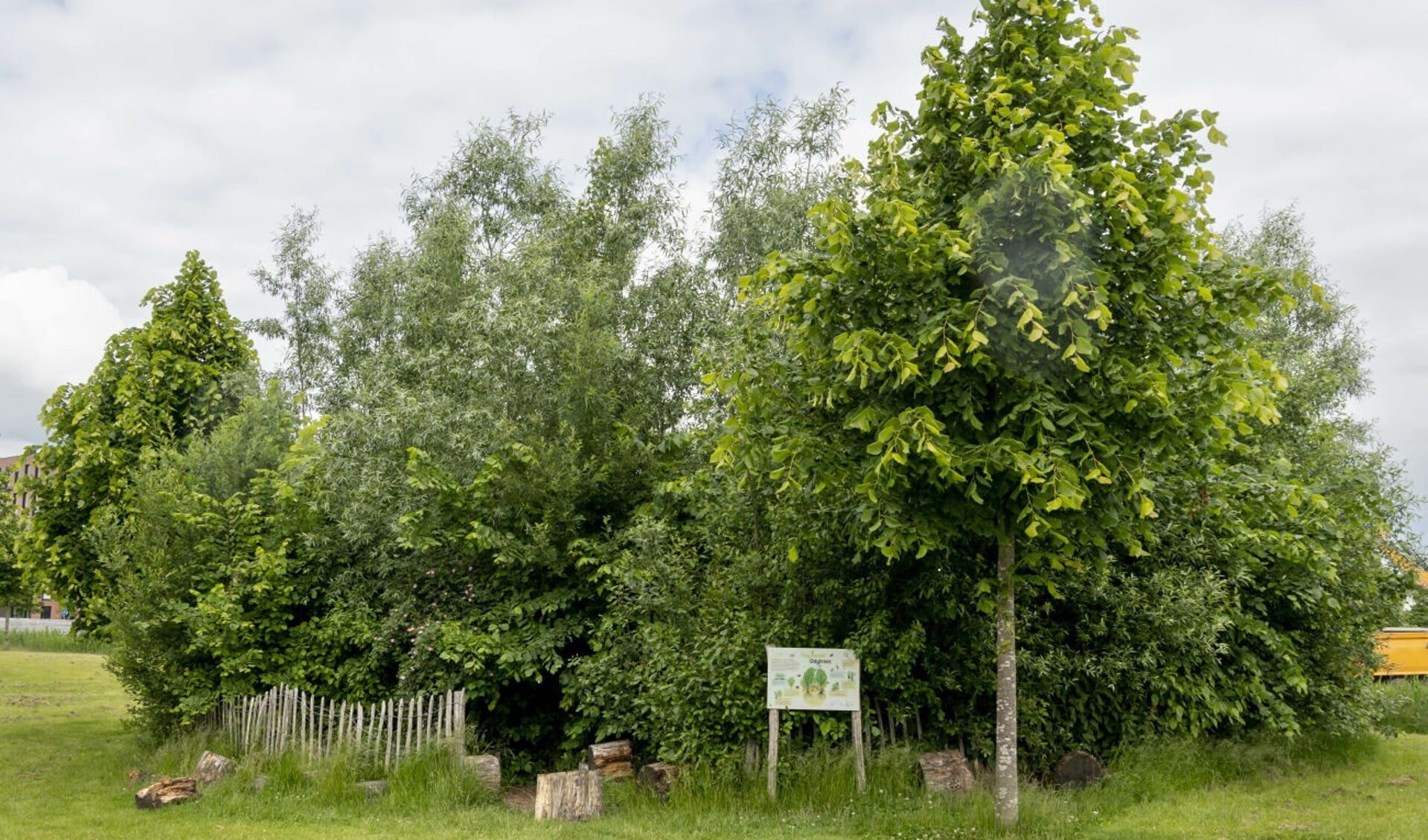 Een tiny forest kan in je achtertuin aangelegd worden. Foto; PR IVN