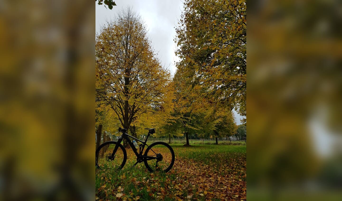 Sfeerfoto van herfst en mountainbike. Foto: TC Keiaosers