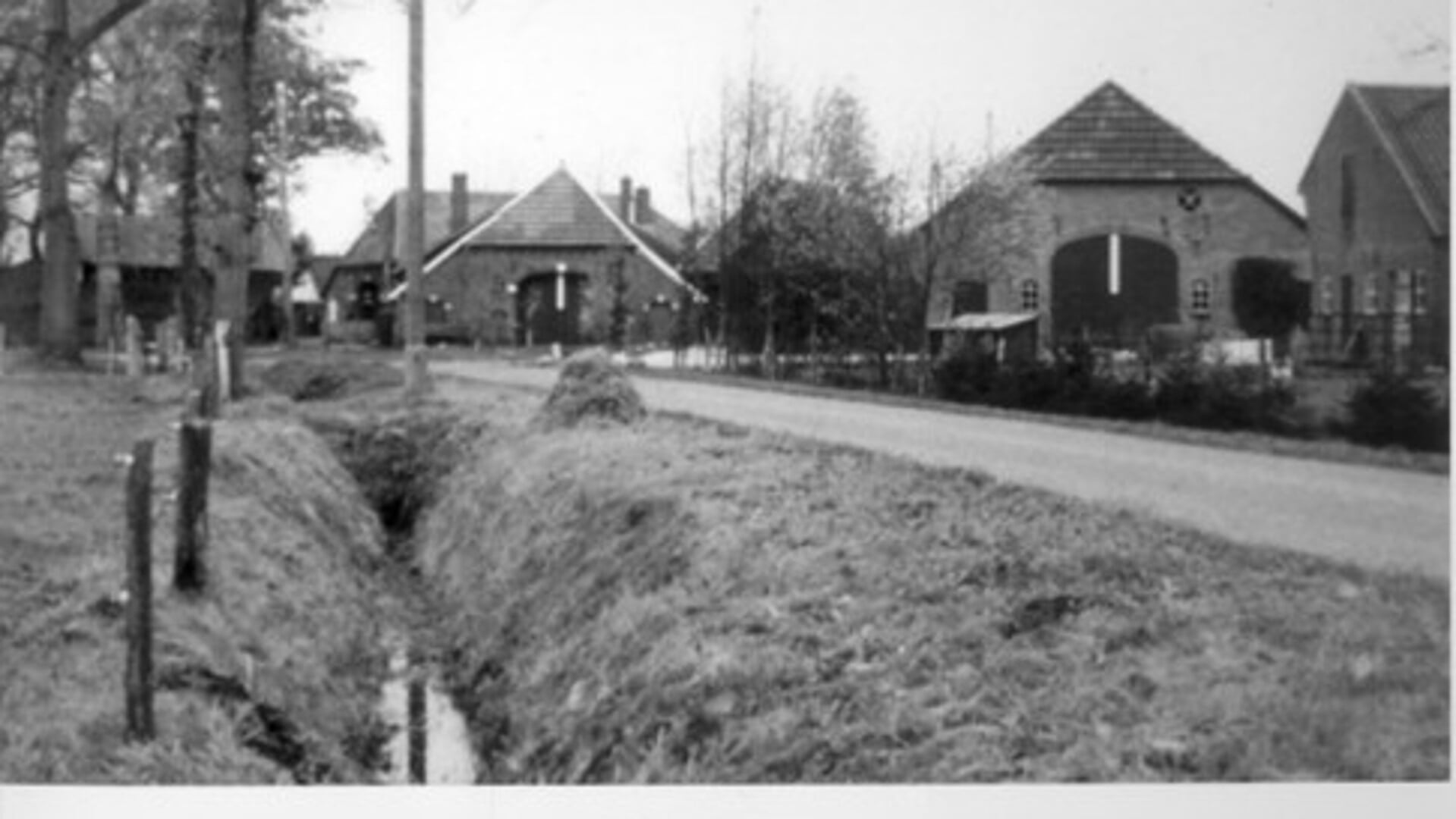 Op de Wopereis. Foto: PR