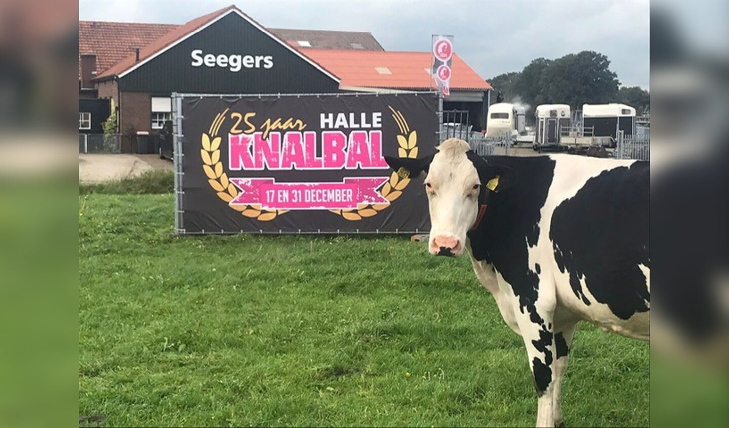 Knalbal Halle gaat op voor de 25ste editie. Foto: PR