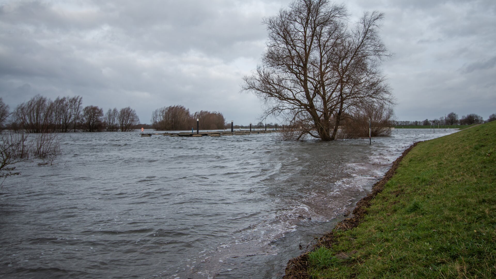 Het water in de IJssel bij het IJsselstrand in Doesburg bij Achter-Drempt is hoog. Foto: Liesbeth Spaansen