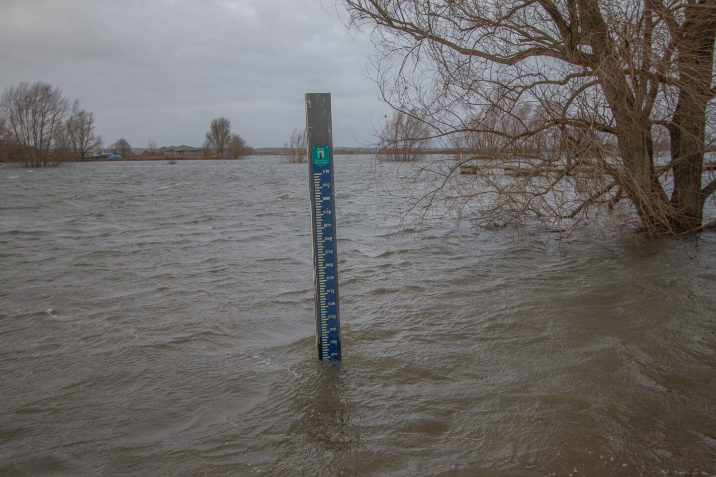 Het water in de IJssel bij het IJsselstrand in Doesburg bij Achter-Drempt is hoog. Foto: Liesbeth Spaansen
