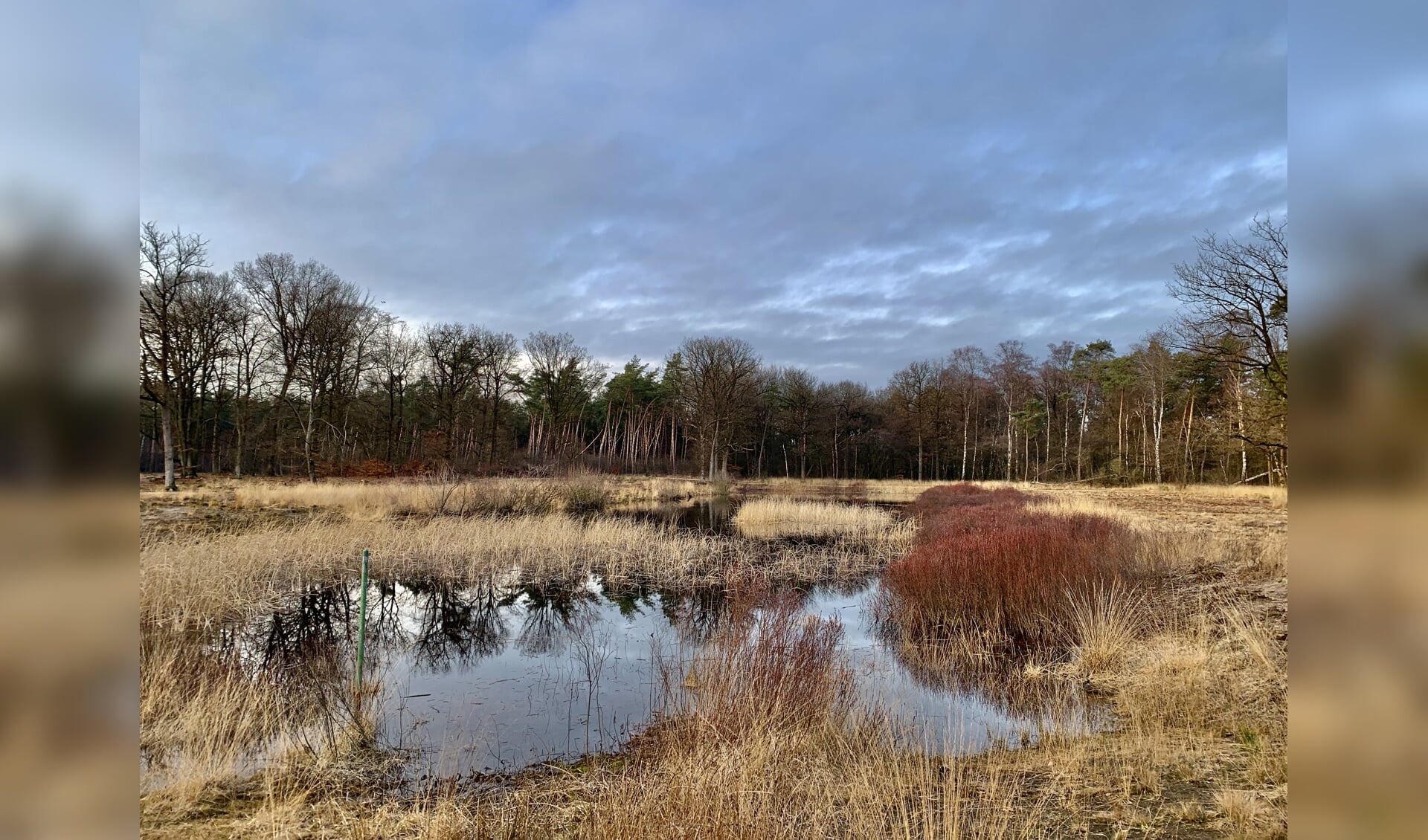 Foto: Stichting Marke Gorsselse Heide