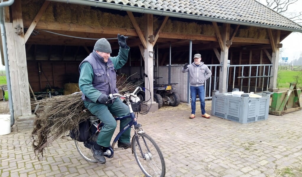 Afbeelding
