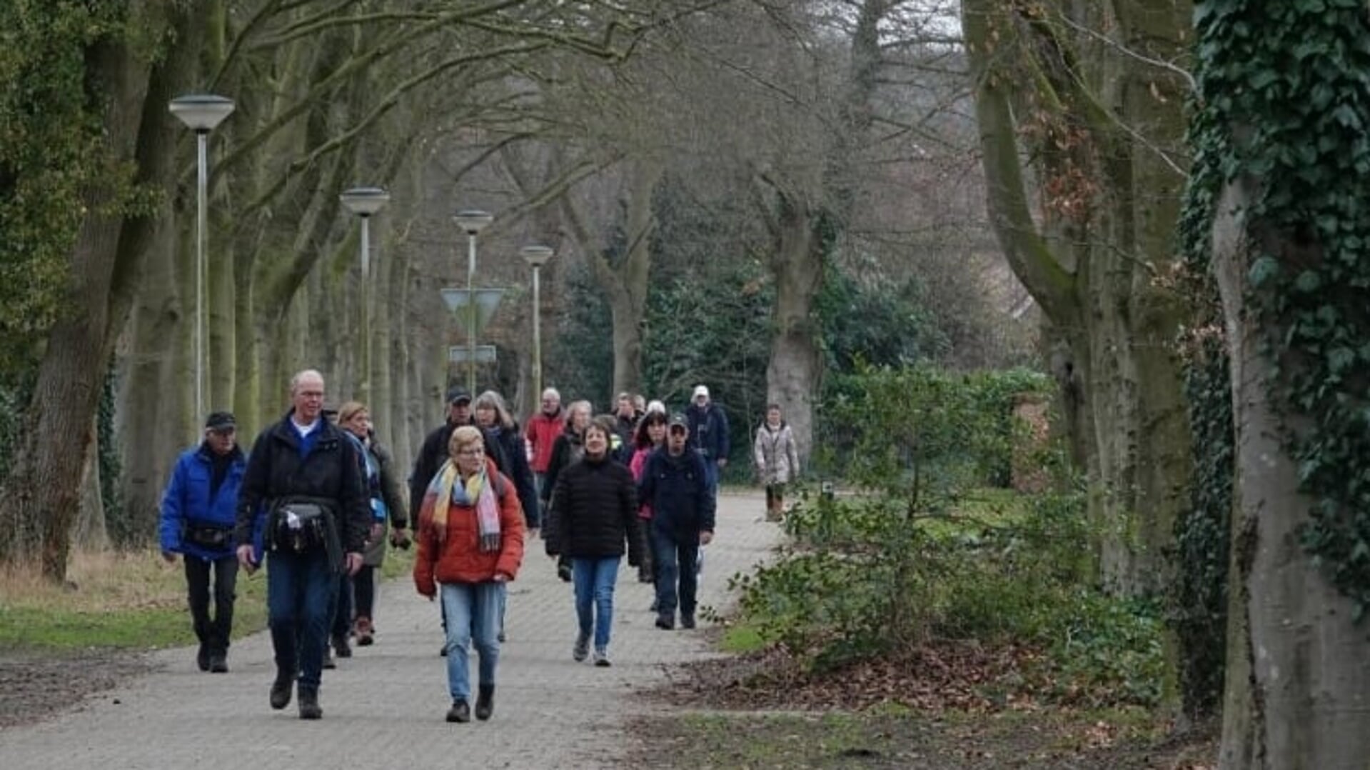 Maar liefst 750 wandelaars gingen zondag van start voor de vierde wandeling uit de serie 'Winter5Maandse. Foto: Achterhoekfoto.nl/Gradus Derksen