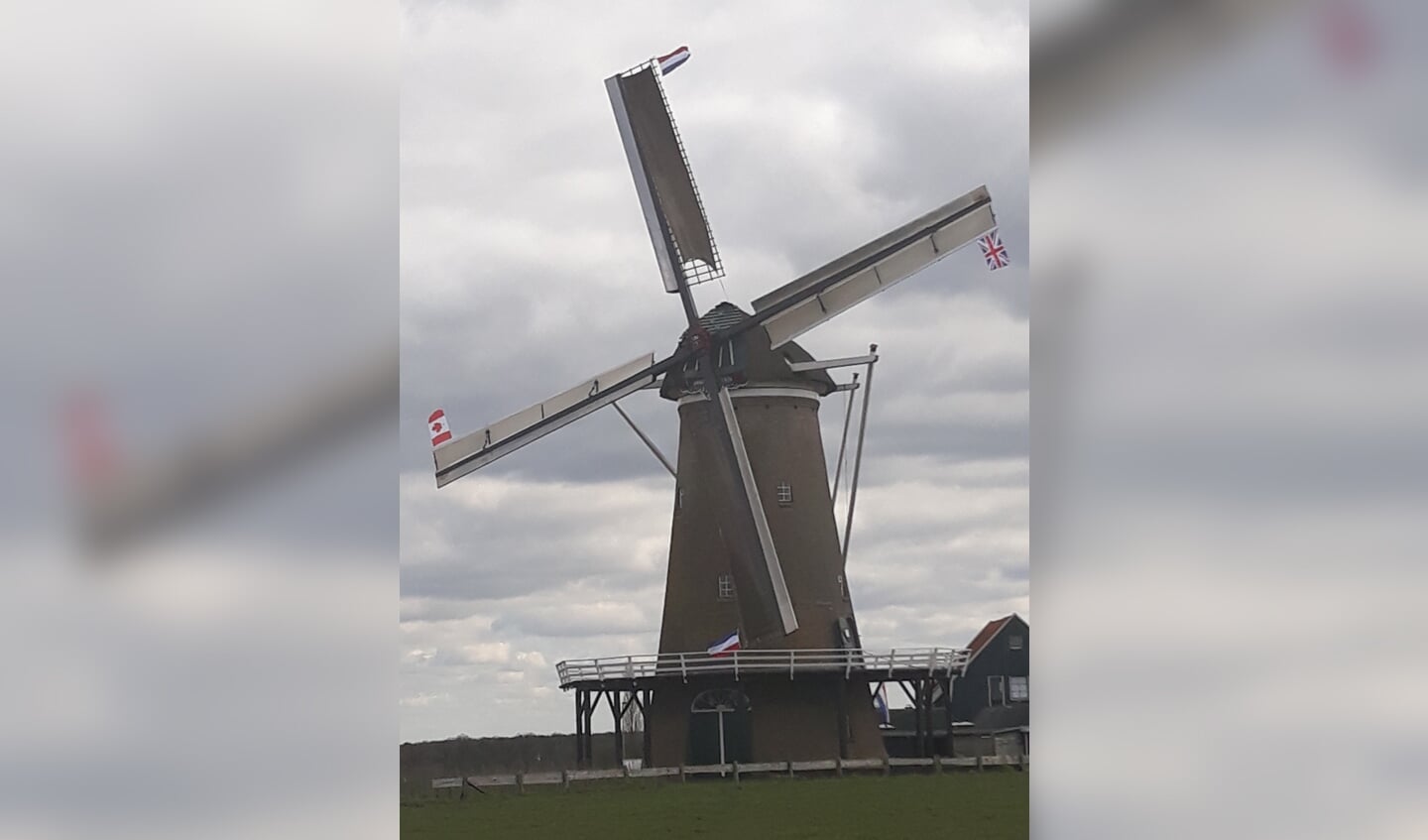 De vlaggen de Nederlandse, Britse en Canadese vlaggen aan de wieken van de molen om de bevrijding te vieren. Foto: PR