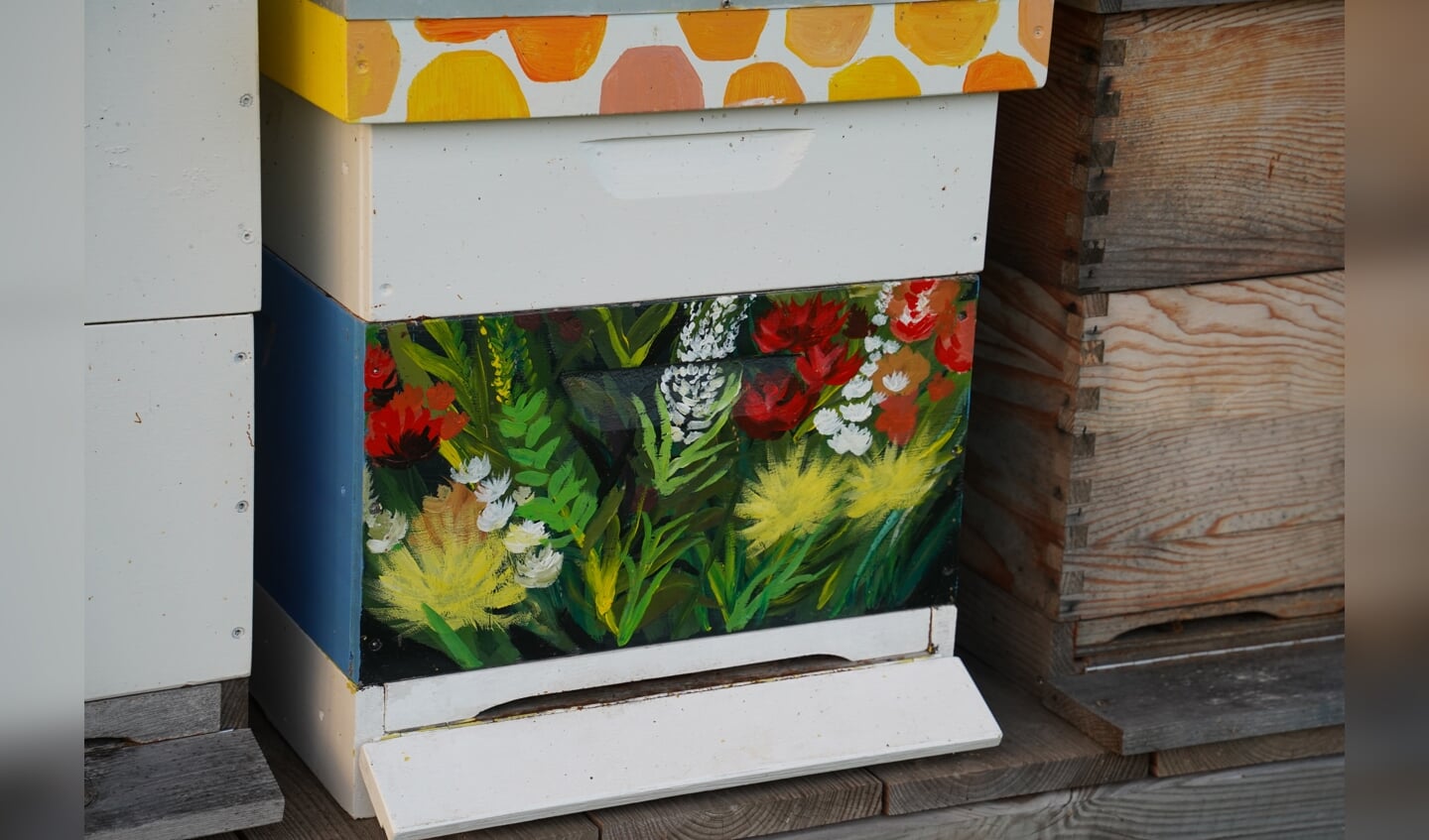 De bijenkast van Karin Schwiening. Foto: Frank Vinkenvleugel