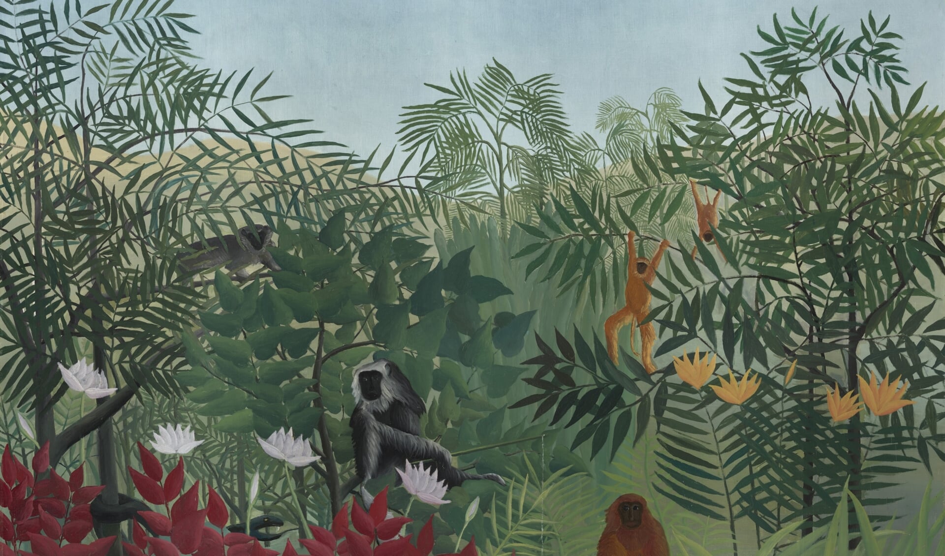 Henri Rousseau, Tropisch bos met apen, 1910. Foto: PR