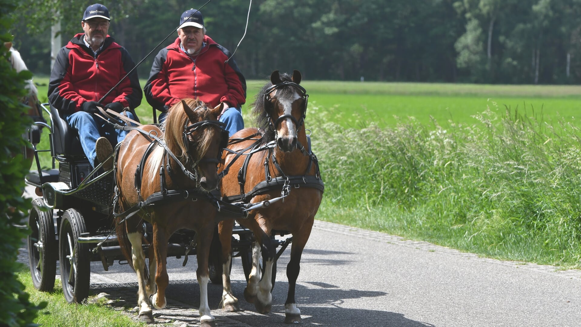 Eropuit tijdens de Bronckhorster Paardenmeerdaagse | Het laatste nieuws uit  Hengelo en omgeving.