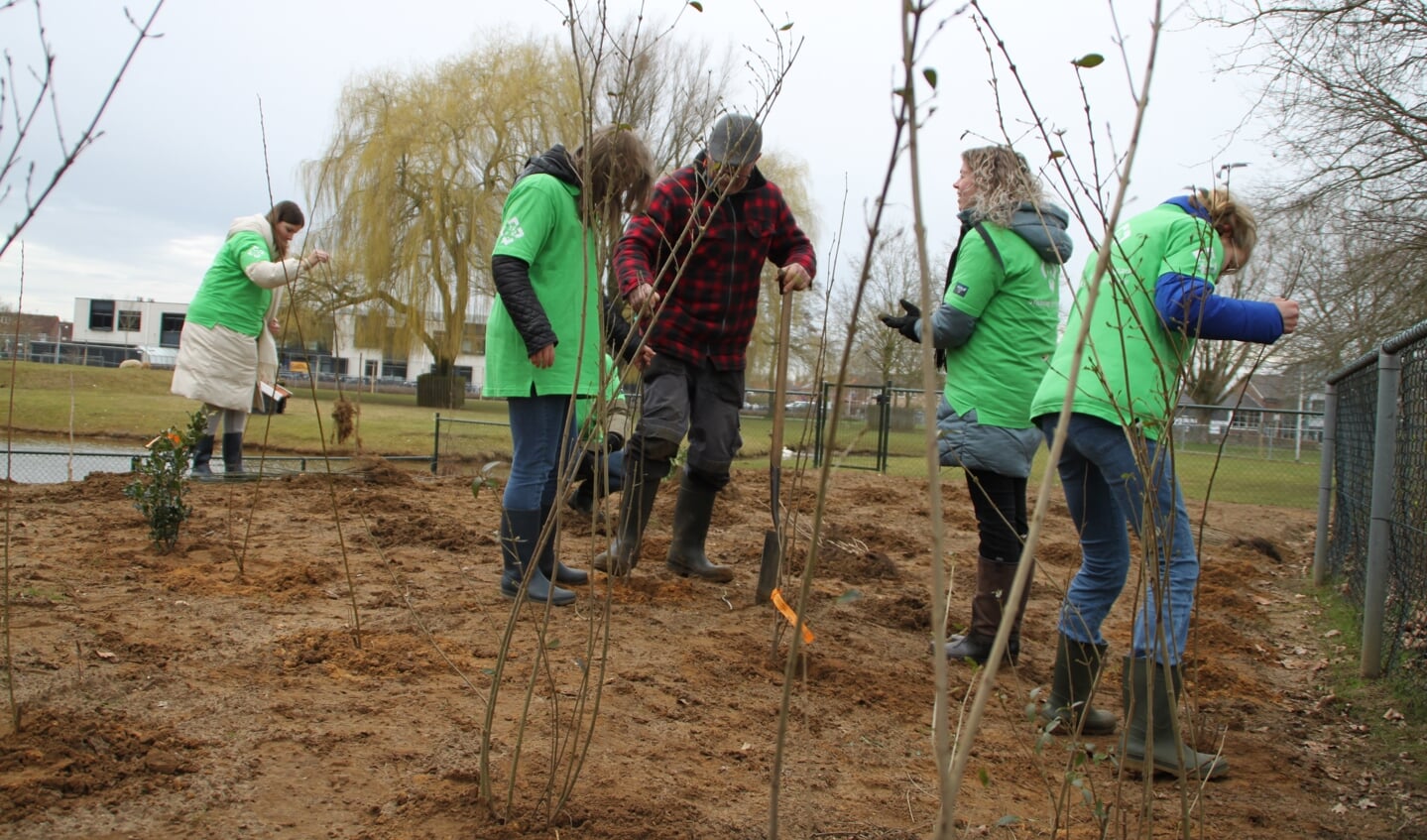 Leerlingen van het Bariet helpen met aanplant van biodiverse tuin in het Wentholtpark.
