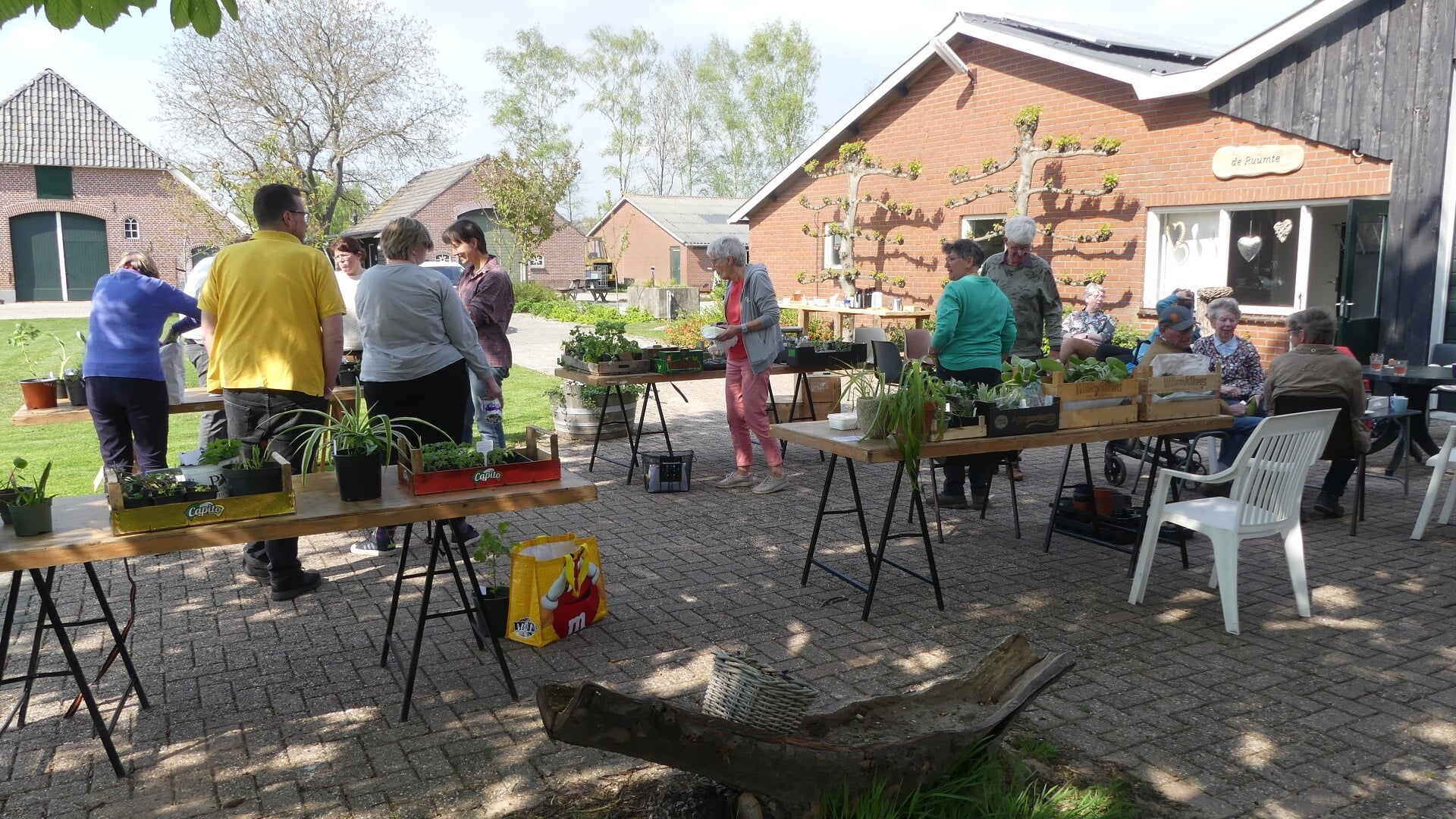 De plantenruilmarkt in 2022 in Halle. Foto: T. Klein Lebbink