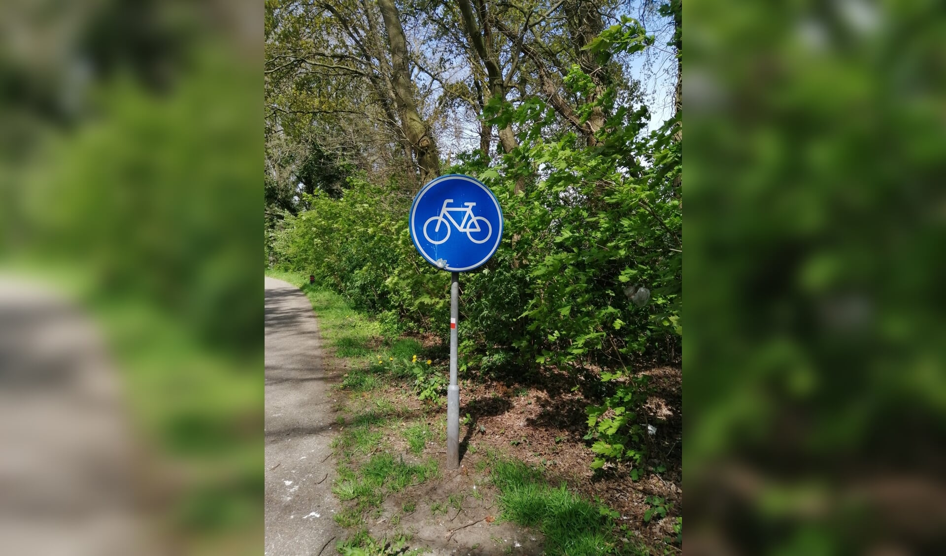 Het Nut besteedt aandacht aan fietsen: vervoer en veiligheid. Foto: Cees Corts